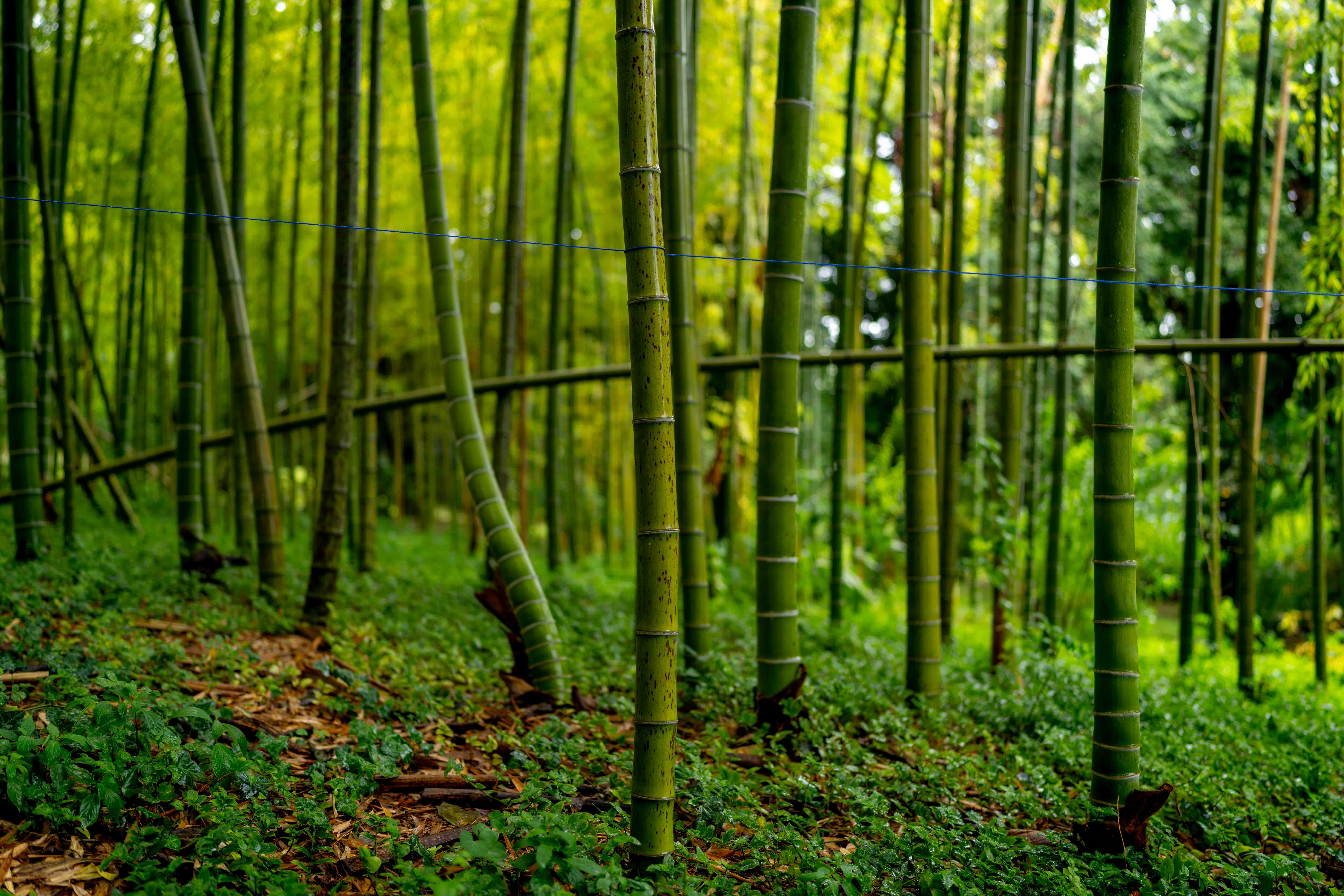 Photos from travel in Rome, Florence, Venice, Fall 2025.